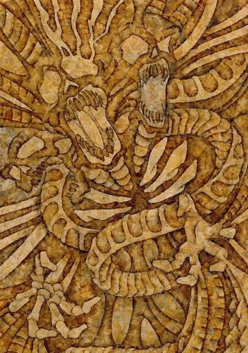 მარიხუანასგან შექმნილი სურათები მარიხუანასგან შექმნილი სურათები