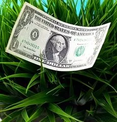 დოლარის ისტორია