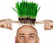 ყველაფერი თმის გადანერგვის შესახებ