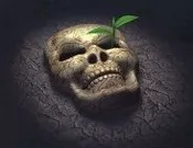 სიცოცხლე უკუ მიმართულებით