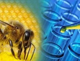 აპიზანი