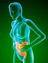 სიცოცხლის საათები, ორგანიზმის გაწმენდა