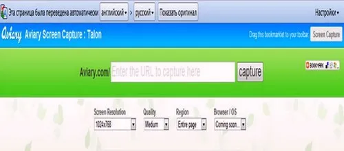 საიტზე სურათის (სქრინშოტის) გადაღება - Aviary