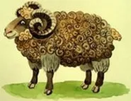 რამდენი ცხვარი ჰყავდათ მწყემსებს