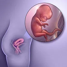 ფეხმძიმობის მე-9 კვირა