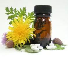 ფიტოთერაპია ჰემოროის წინააღმდეგ