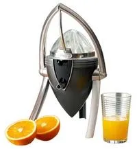 როგორ ავირჩიოთ წვენსაწური