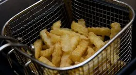 ფრიტურნიცას გამათბობელი ელემენტი