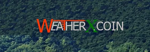 ბიტკოინების დაგროვება - weatherx.co.in